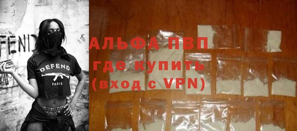 индика Медногорск