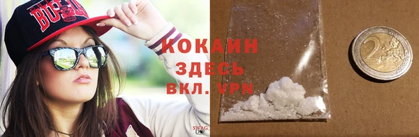 индика Медногорск