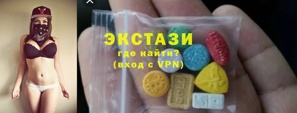 индика Медногорск