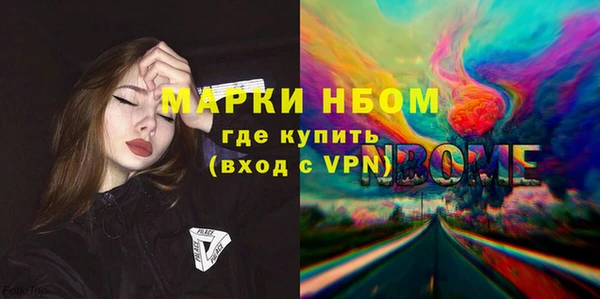 индика Медногорск