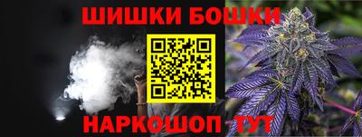 шишки Кандалакша